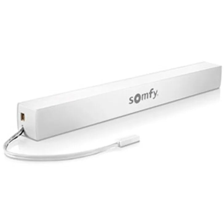 Rechargeable Lithium - Ion Battery Pack (for External Battery Motors) (9021217)