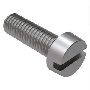 Slotted Cheese Head Screw (2005563)